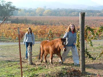 Becky, Tempest, and Me at Thanksgiving 2002